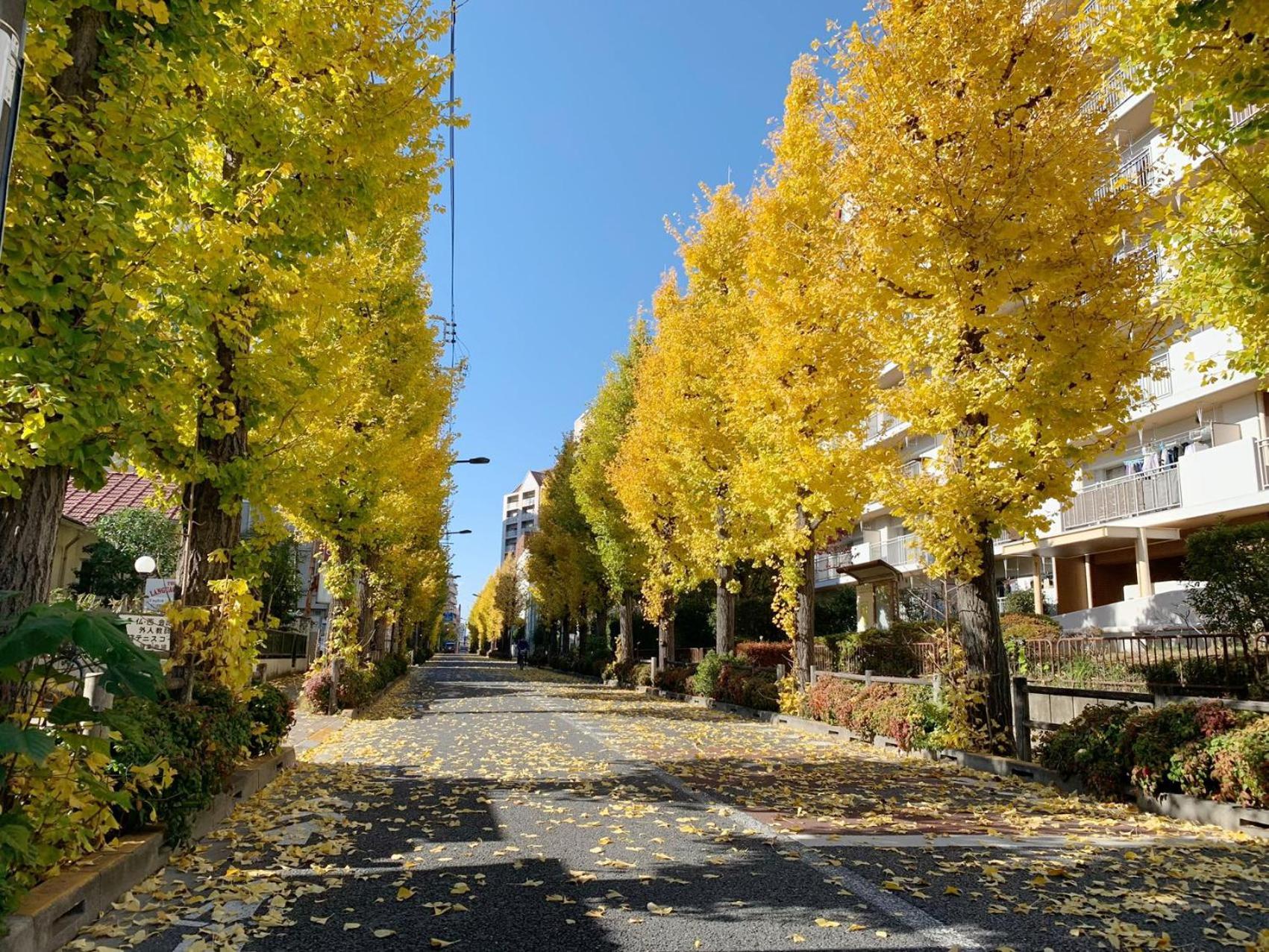 Rosenheim Tokyo Shinjuku Tóquio Exterior foto
